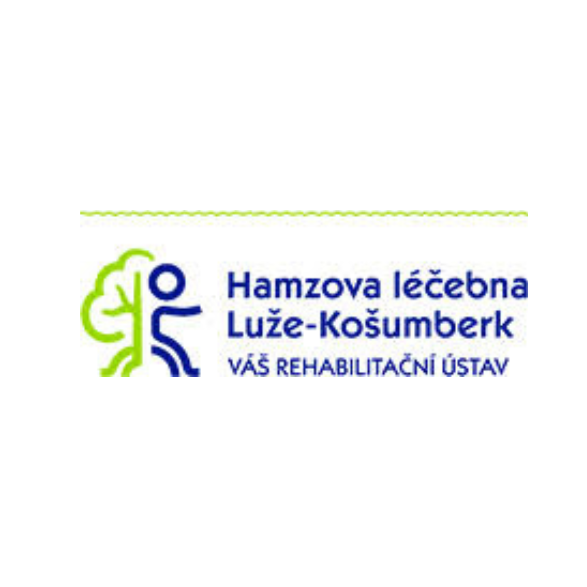 Fotografie zařízení Hamzova léčebna Luže -Košumberk - pavilon E dětská rehabilitace