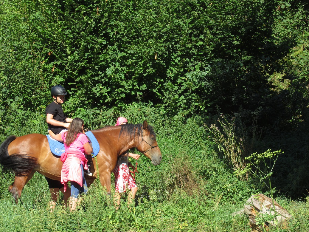 EPONA, z.s. I.