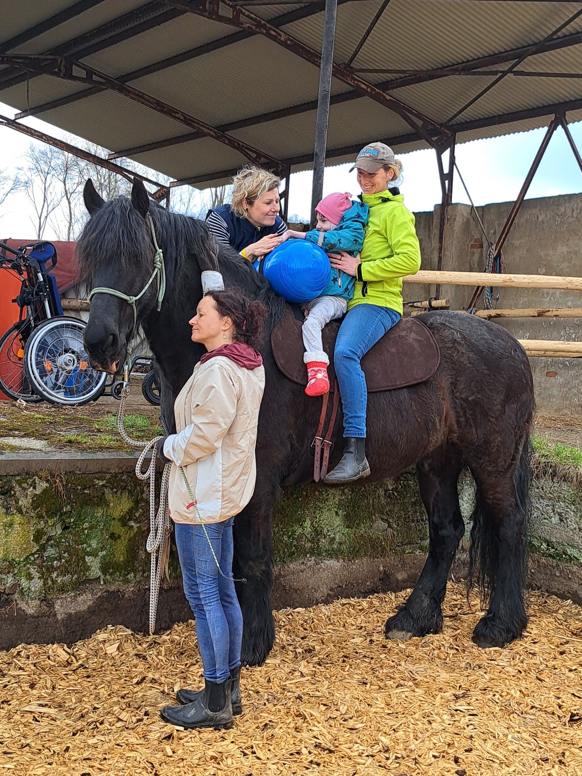 ViaEqui, z.s. - Hiporehabilitace ve fyzioterapii a ergoterapii