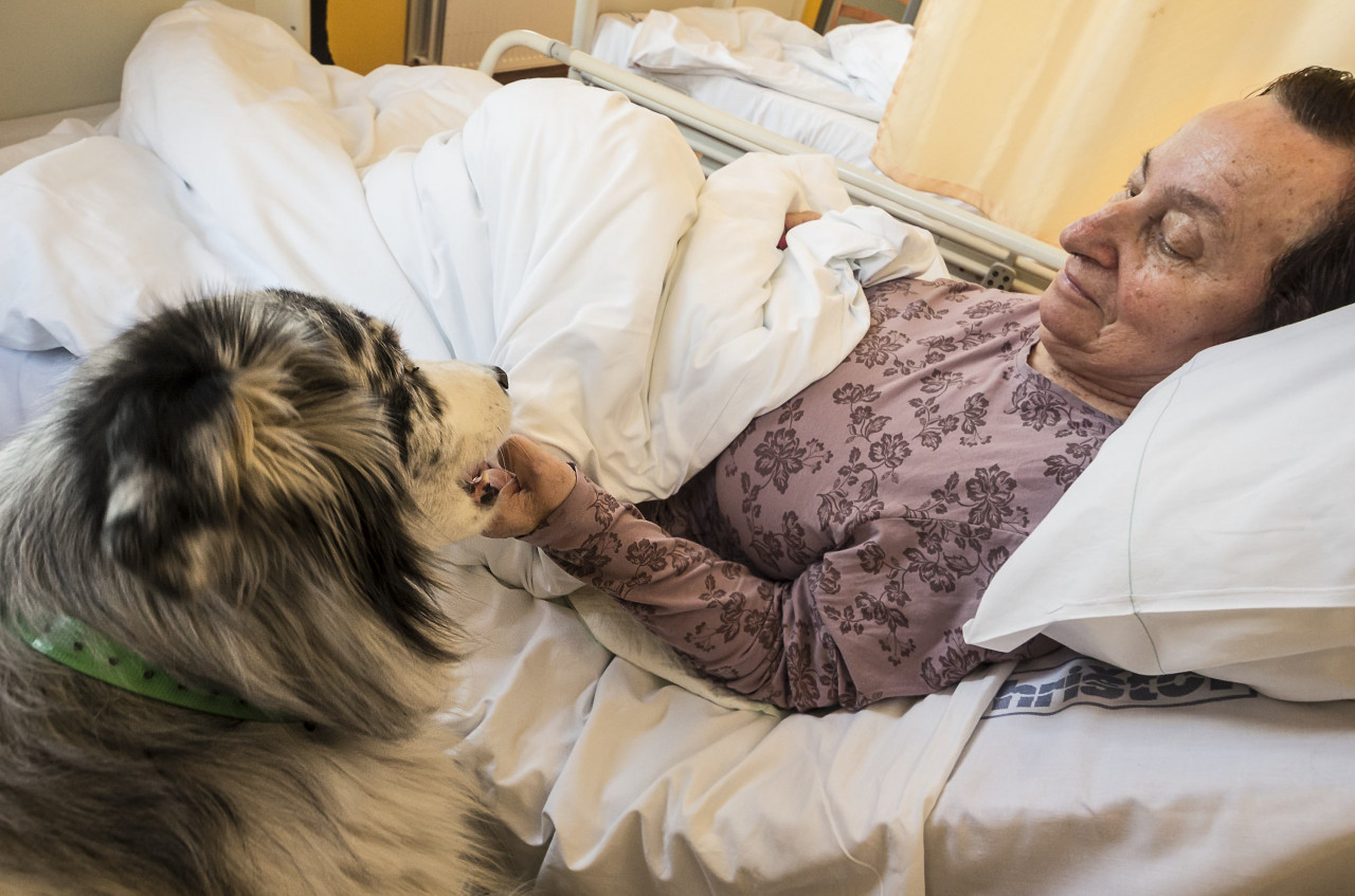 Fotografie zařízení Nadační fond Be Charity