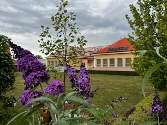 Speciální základní škola v Poděbradech